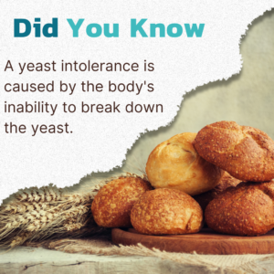 How A Yeast Intolerance Occurs